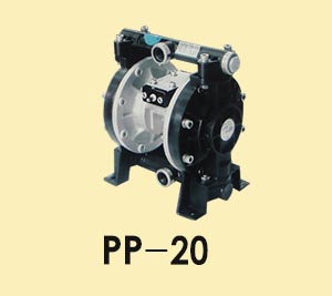 PP-20